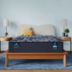 Perfect Sleeper X Knox Firm 13.5 in. King Hybrid Mattress